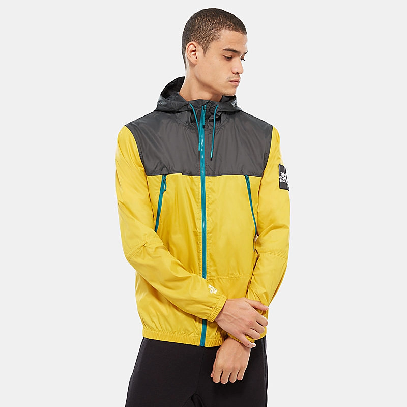 Jas The North Face Men 1990 Seasonal Mountain Leopard Yellow Asphalt Grey