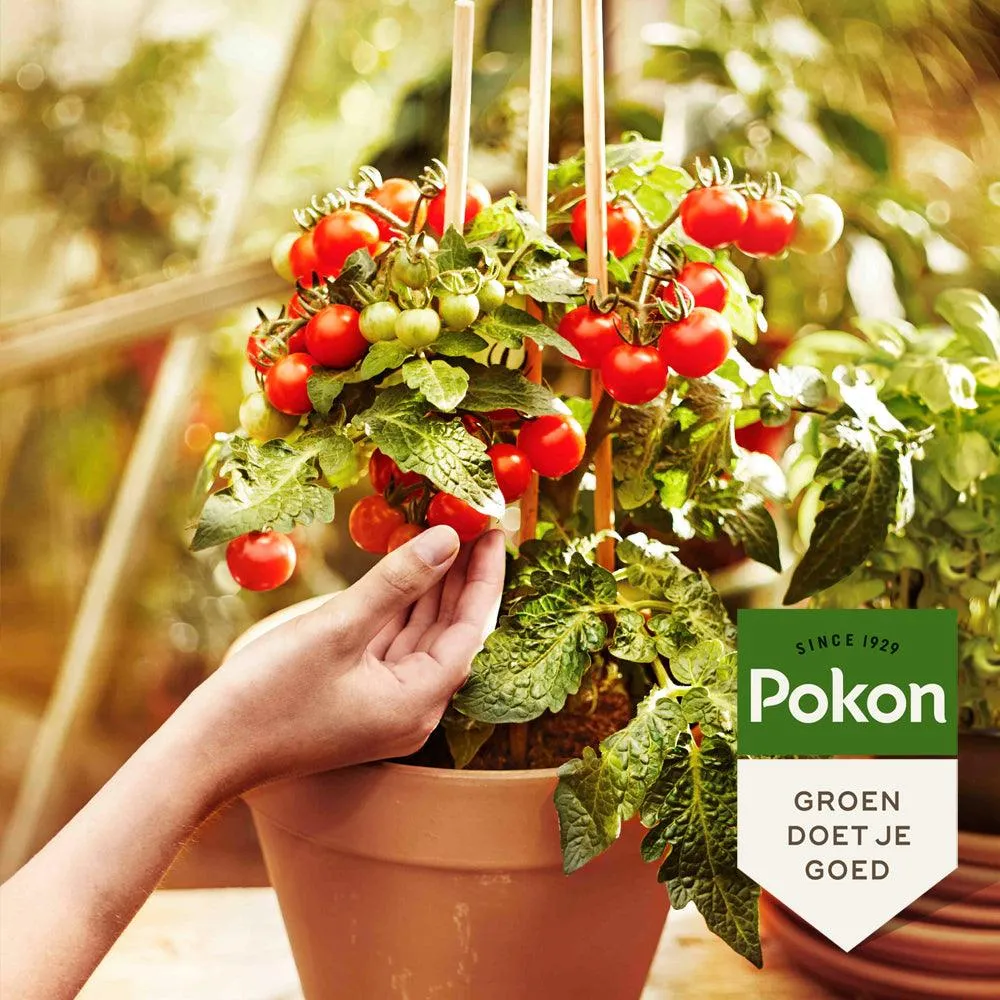Pokon Bio Moestuin Voeding